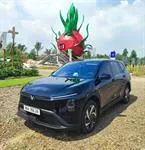 Private Car From Phan Thiet <=> Da Lat (private car with driver)